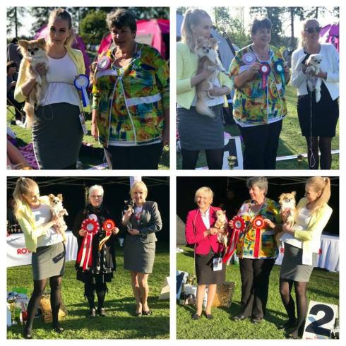 erikoisnäyttely 3.6.2017