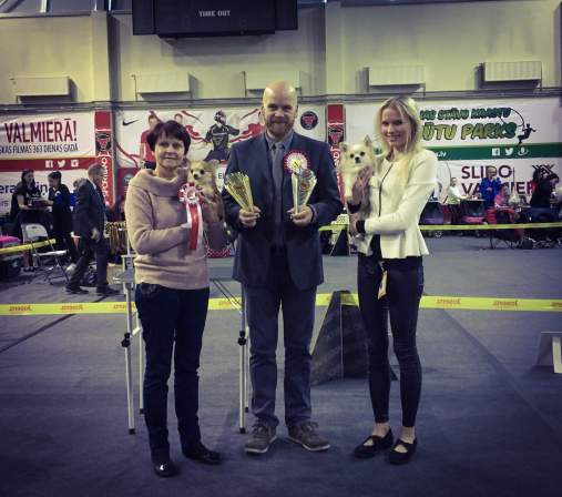 received_1563974443638785