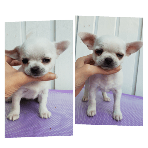 COOCENT_PICTURE_20180514_185422