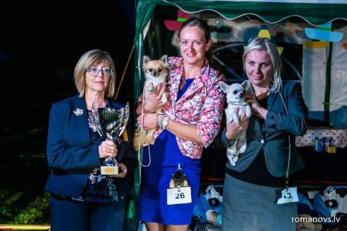 received_2146176359042252