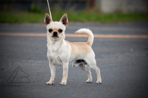 IMG_20180930_164711_179