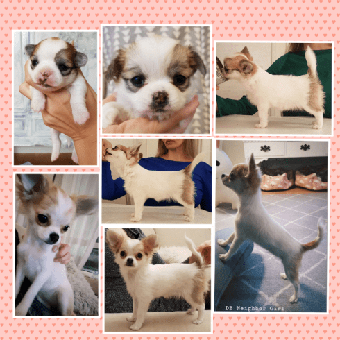 COOCENT_PICTURE_20190213_123545